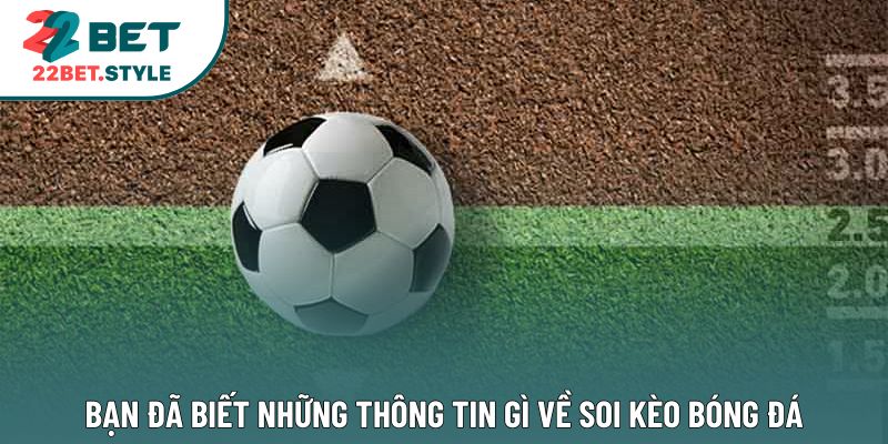 Bạn đã biết những thông tin gì về soi kèo bóng đá