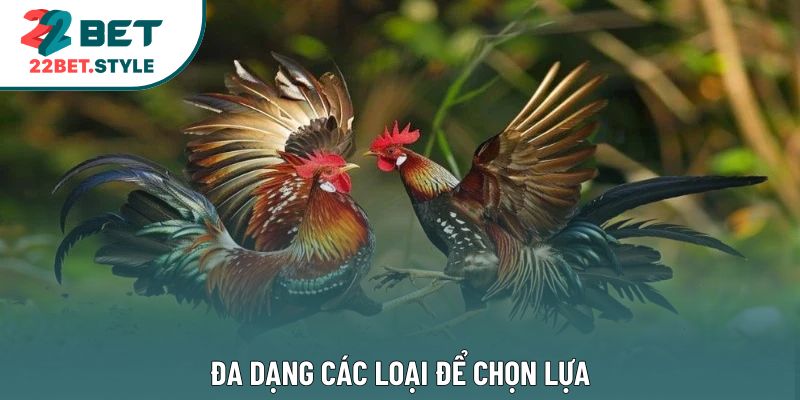 Đa dạng các loại để chọn lựa