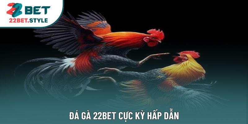 Đá gà 22bet cực kỳ hấp dẫn