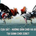 Đá Gà Cựa Sắt - Hướng Dẫn Chơi Và Ưu Điểm Tại Sảnh Chơi 22Bet