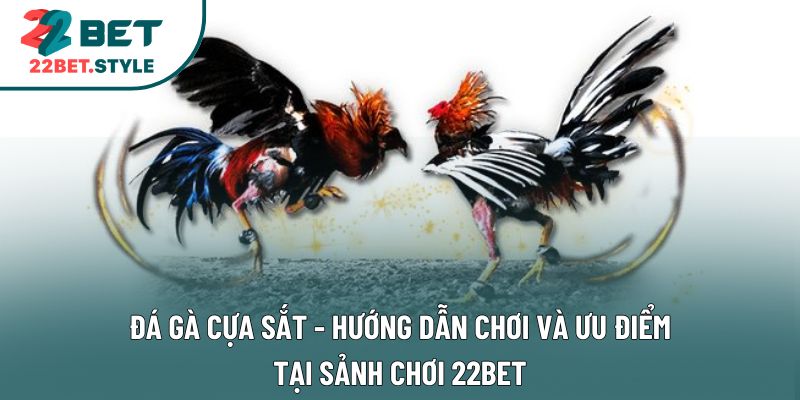 Đá Gà Cựa Sắt - Hướng Dẫn Chơi Và Ưu Điểm Tại Sảnh Chơi 22Bet