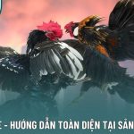 Đá Gà Online - Hướng Dẫn Toàn Diện Tại Sảnh CHơi 22Bet