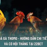Đá Gà Thomo - Hướng Dẫn Chi Tiết Và Cơ Hội Thắng Tại 22Bet