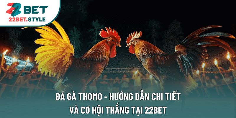 Đá Gà Thomo - Hướng Dẫn Chi Tiết Và Cơ Hội Thắng Tại 22Bet