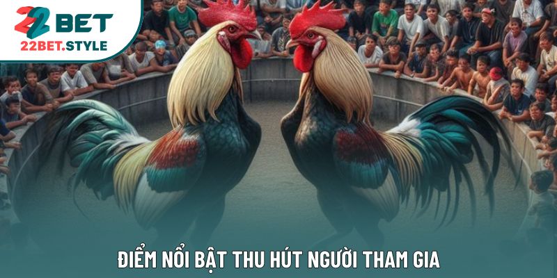 Điểm nổi bật thu hút người tham gia