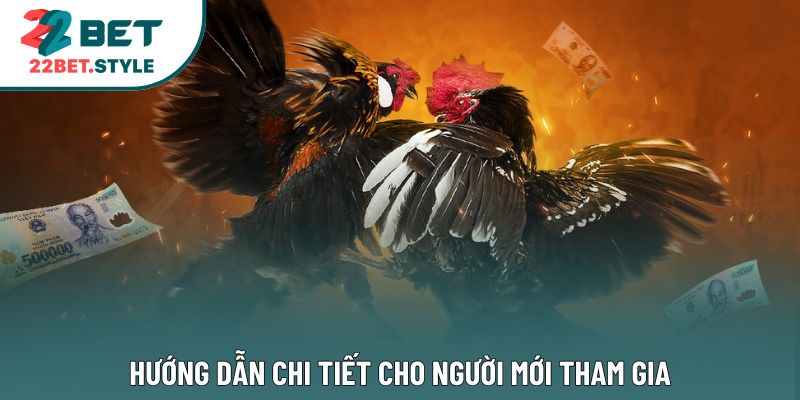 Hướng dẫn chi tiết cho người mới tham gia 