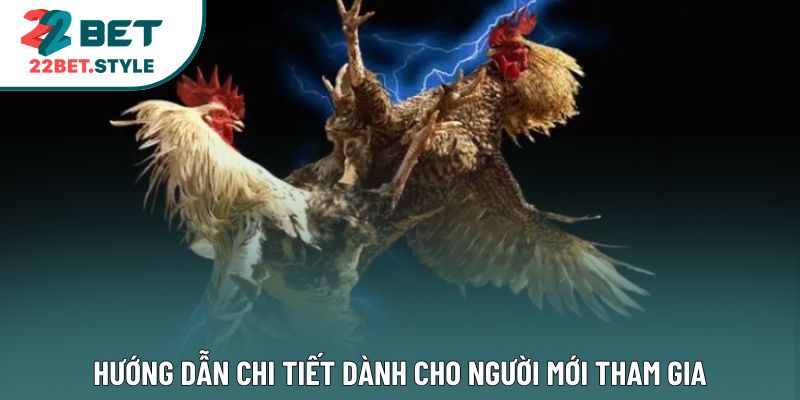 Hướng dẫn chi tiết dành cho người mới tham gia