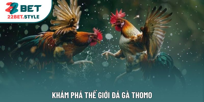 Khám phá thế giới đá gà thomo