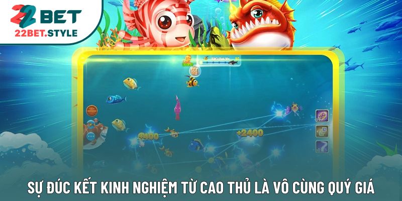 Sự đúc kết kinh nghiệm từ cao thủ là vô cùng quý giá